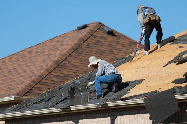 Best Storm Damage Roof Repair  in Braddock Hills, PA