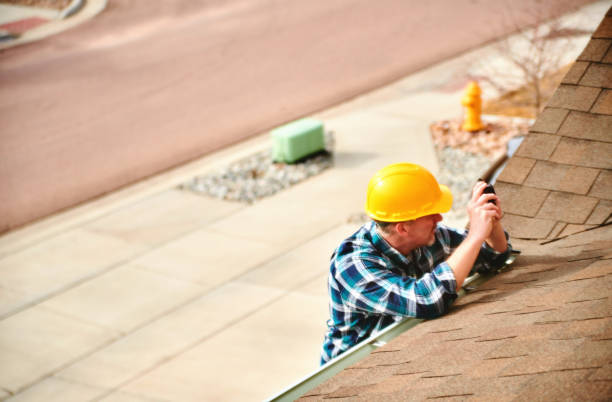 Best Roof Moss and Algae Removal  in Braddock Hills, PA